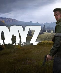 DayZ Steam Accounts For Sale - Full Access, Clean, Instant Delivery