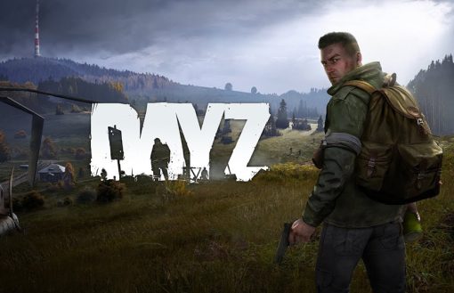 DayZ Steam Accounts For Sale - Full Access, Clean, Instant Delivery