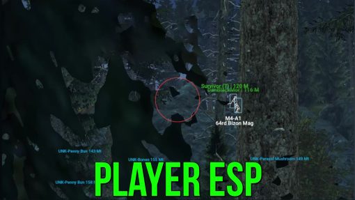 Crusader DayZ - Image 2
