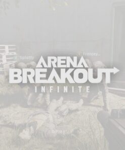 Arena Breakout: Infinite
