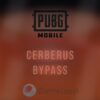 Cerberus Bypass PUBG Mobile Gameloop