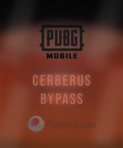 Cerberus Bypass PUBG Mobile Gameloop